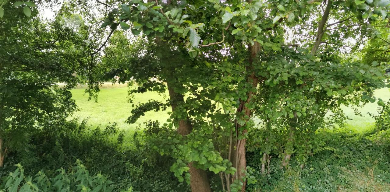 Gemuetliches Ferienhaus "An Der Schilde" In Renzow エクステリア 写真