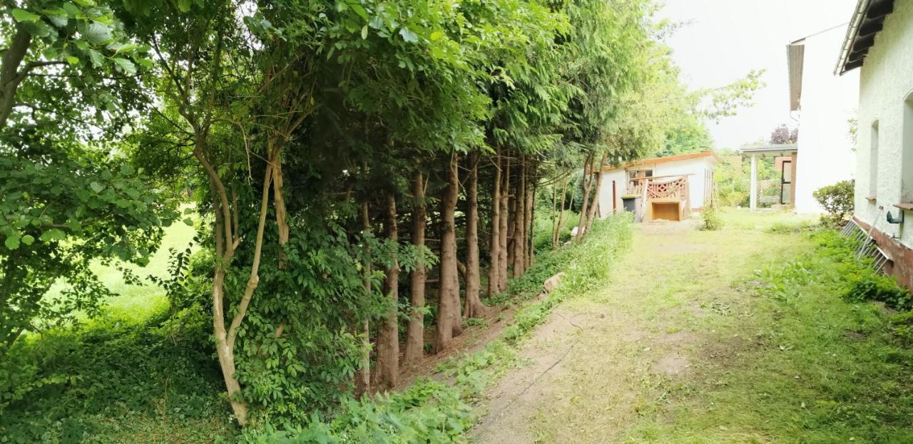 Gemuetliches Ferienhaus "An Der Schilde" In Renzow エクステリア 写真